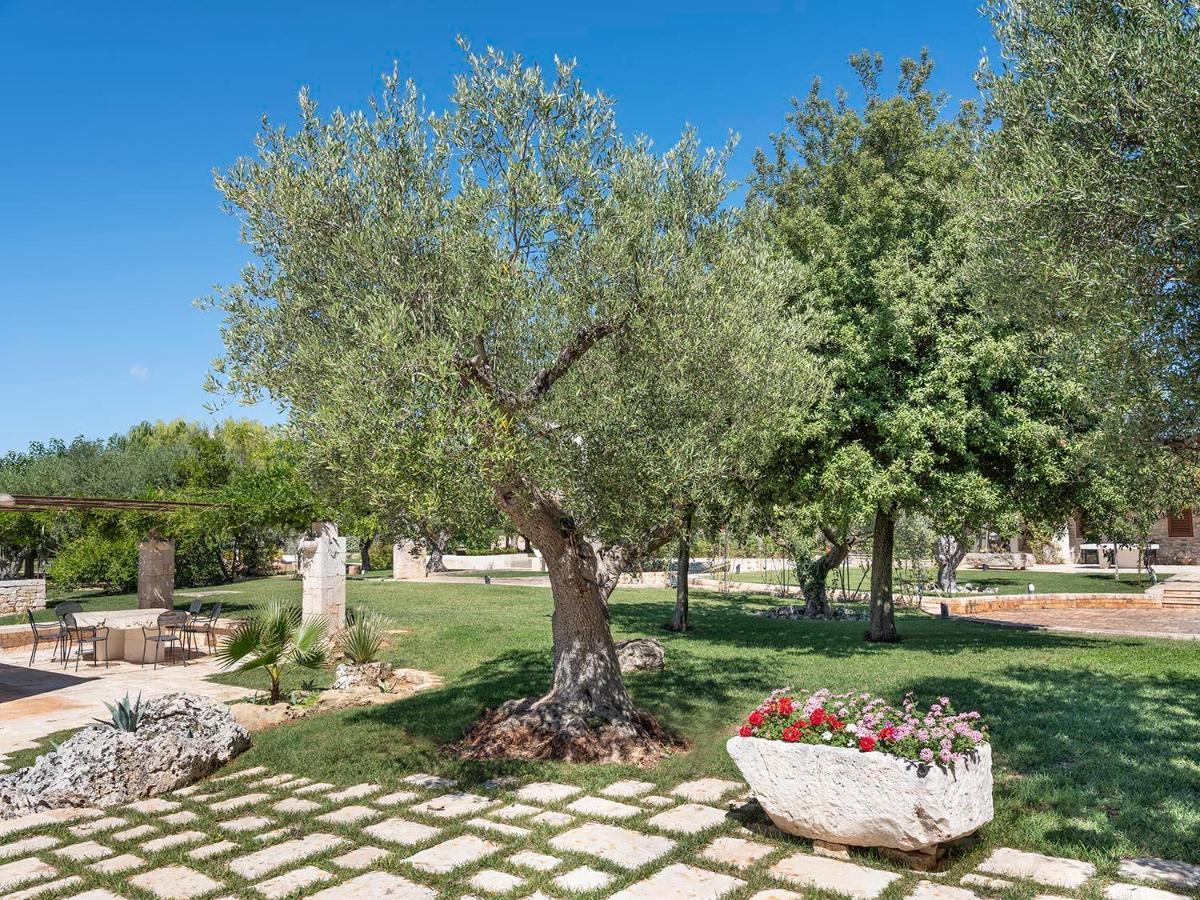 Trulli Uliveto Acquafonda